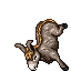Donkey (Transformation)