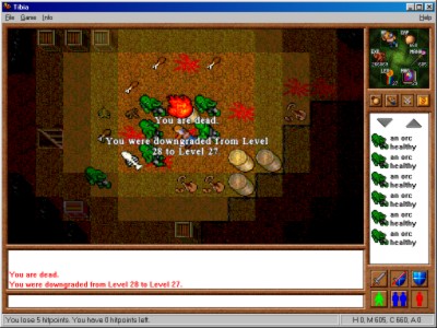 https://vignette.wikia.nocookie.net/tibia/images/4/46/OldClient.jpg/revision/latest?cb=20060621152552&path-prefix=en