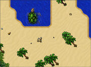 Seaturtle
