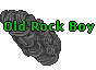 Old Rock Boy