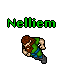 Nelliem