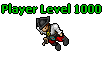 Player Level 1000