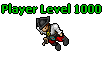 Player Level 1000