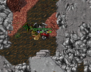 Biedrona2