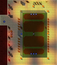 Football Field