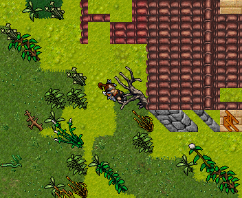 Black Knight Quest | TibiaWiki | Fandom