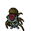 Cave Tarantula