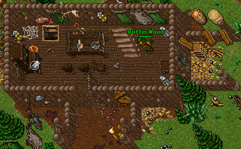 Forsaken Mine – Tibia Wiki