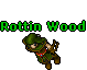 Rottin Wood