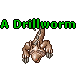 A Drillworm