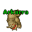 Arkarra