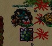 AntiBotTortoise