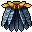 Calopteryx Cape