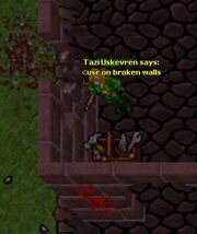 Broken wall