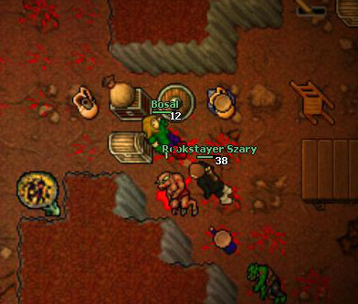 Bear quest 2