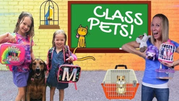 tic tac toy class pet