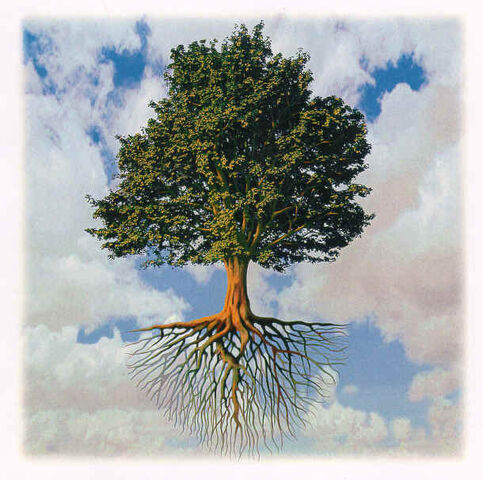 Fil:ShieldTree.jpg