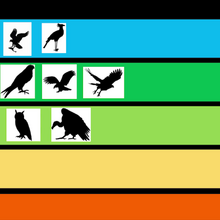 Raptor Tier Zoo Wiki Fandom