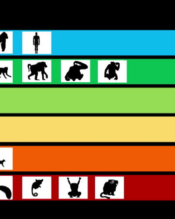 Primate Tier Zoo Wiki Fandom