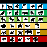 Tiers Tier Zoo Wiki Fandom