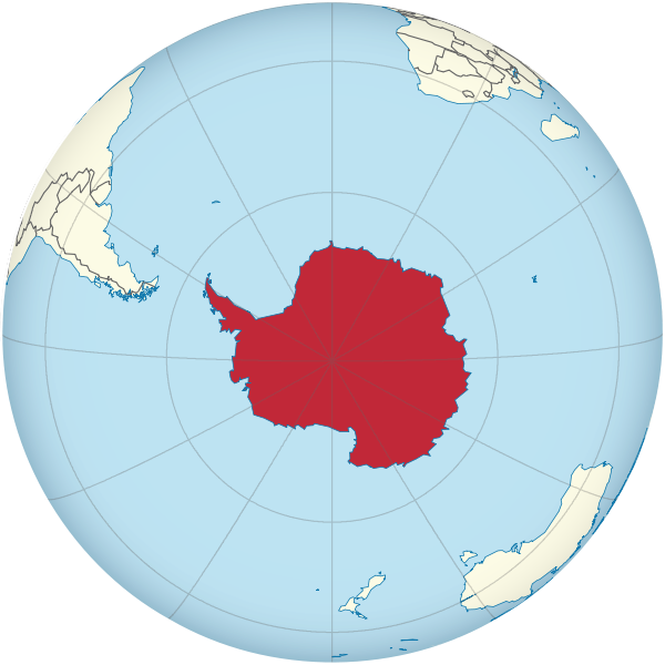Kategorie:Antarktis | Tier Lexikon Wiki | FANDOM powered by Wikia