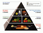 USDA Food Pyramid