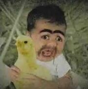 Chippy