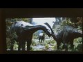 Brontos