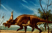 Einiosaurus-timbox129