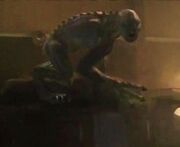 Syfy Morlock 2
