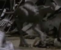 Birds | The Time Machine Wiki | FANDOM powered by Wikia