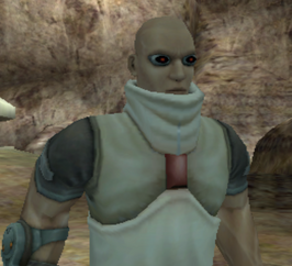 Drquartez