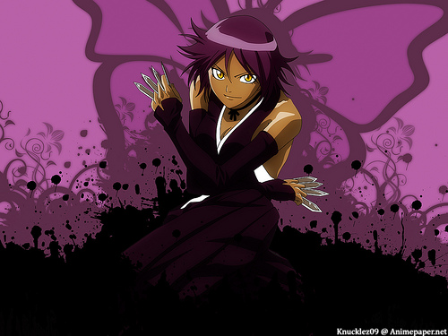 Bleach Yoruichi by knucklez09