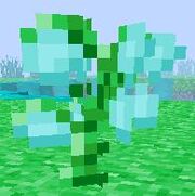 SlimySapling1