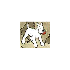 Snowy | Tintin Wiki | FANDOM powered by Wikia