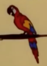 Romulus the Parrot (Book)