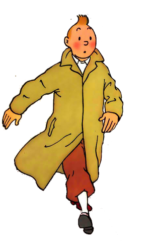 Image - Tintin.png | Tintin Wiki | FANDOM powered by Wikia