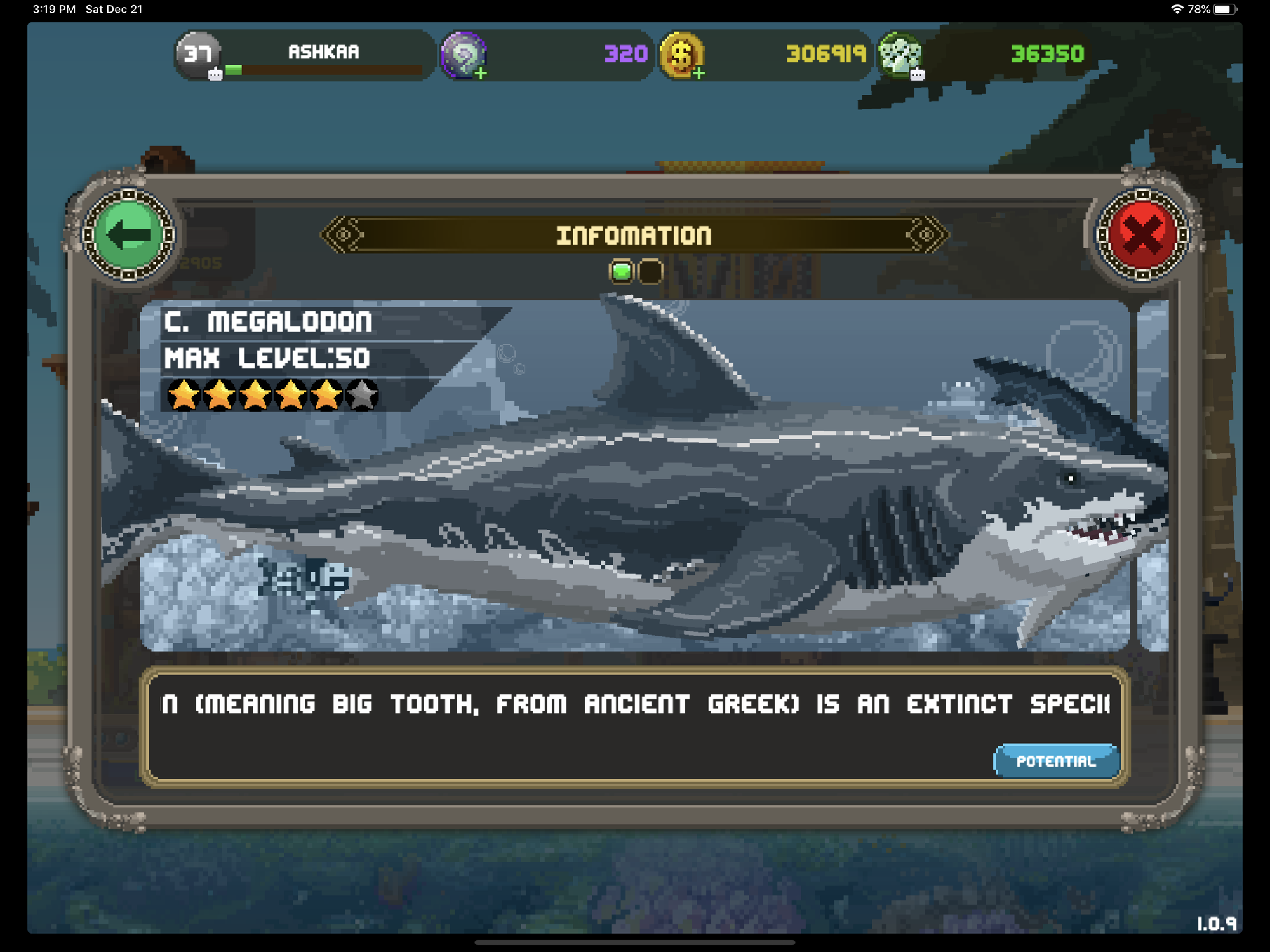 dino megalodon