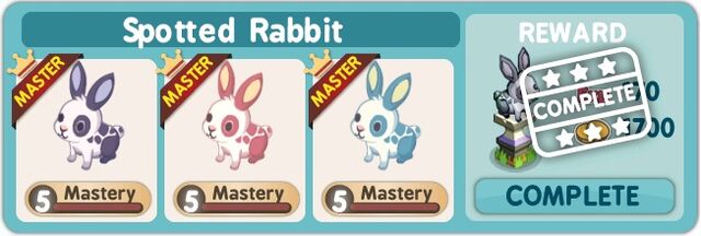 File:Spotted Rabbit.jpg