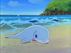 The Baby Whale | Tiny Toon Adventures Wiki | FANDOM powered by Wikia