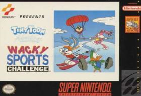 WS-SNES-CA