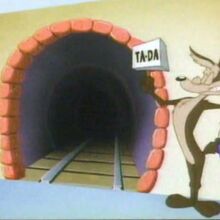 Wile E Coyote Tiny Toon Adventures Wiki Fandom