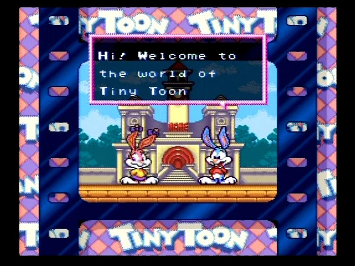 Tiny Toon Adventures Buster Busts Loose Passwords