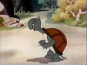 Cecil Turtle | Tiny Toon Adventures Wiki | FANDOM powered by Wikia