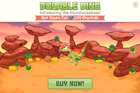 Modals DURABLEdino withbackground@2x