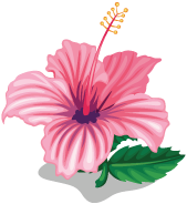 Image - Hibiscus Flower.png | Tiny Zoo Wiki | FANDOM powered by Wikia