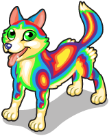 the rainbow husky