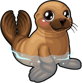 Galapagos Fur Seal | Tiny Zoo Wiki | FANDOM powered by Wikia