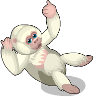 albino gorilla taboo