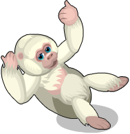 albino gorilla flash